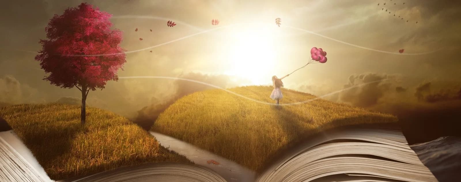 Llibre obert il·luminat per la llum càlida del capvespre